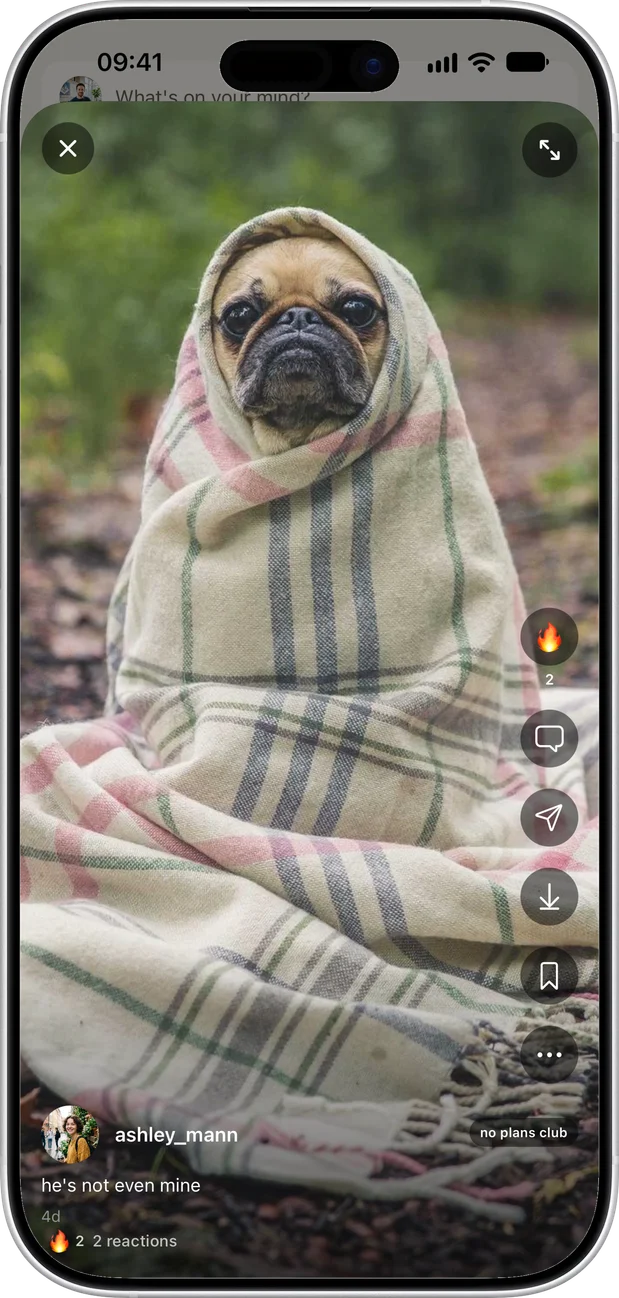 A post of a dog wrapped in a blanket