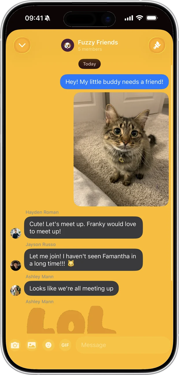 A chat with a photo in it
