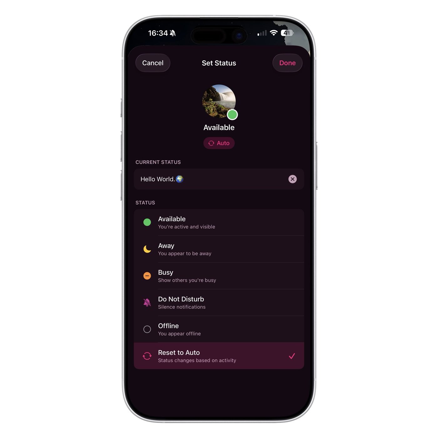 Set status screen