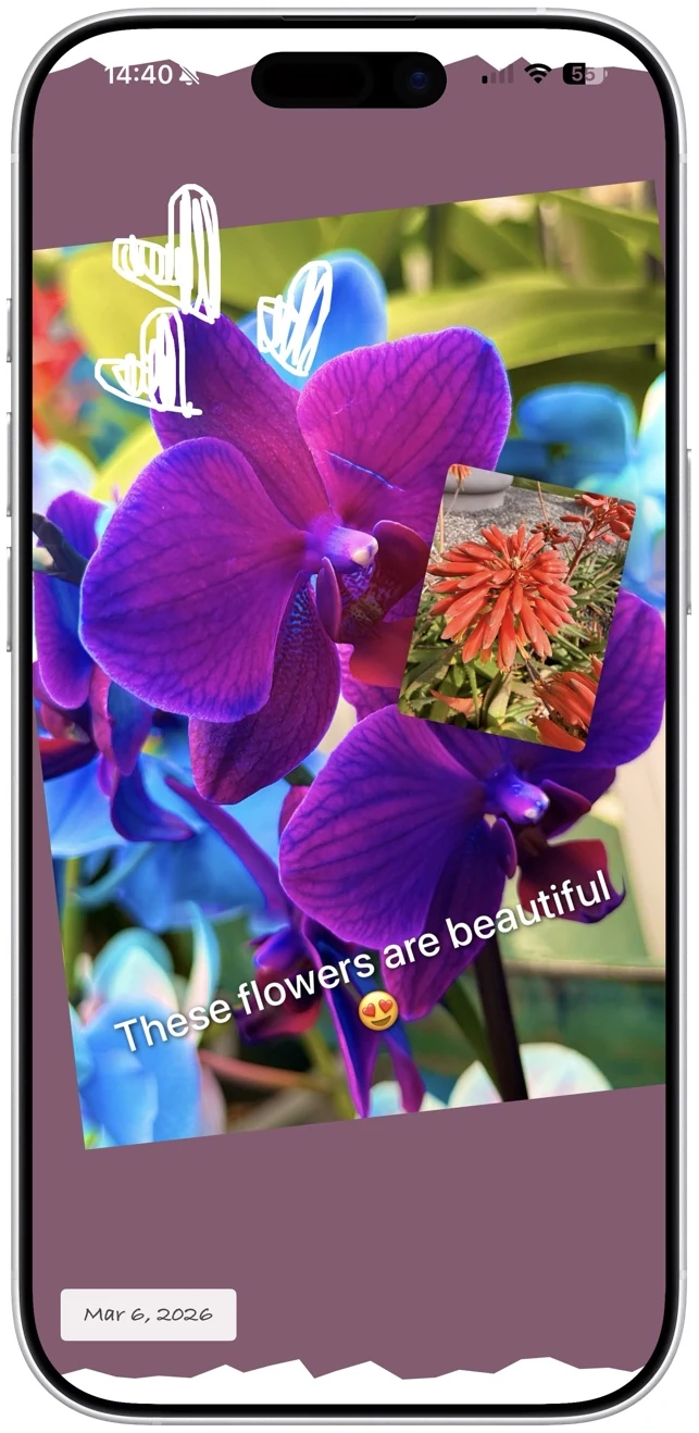 Choosing a frame in the fomo editor